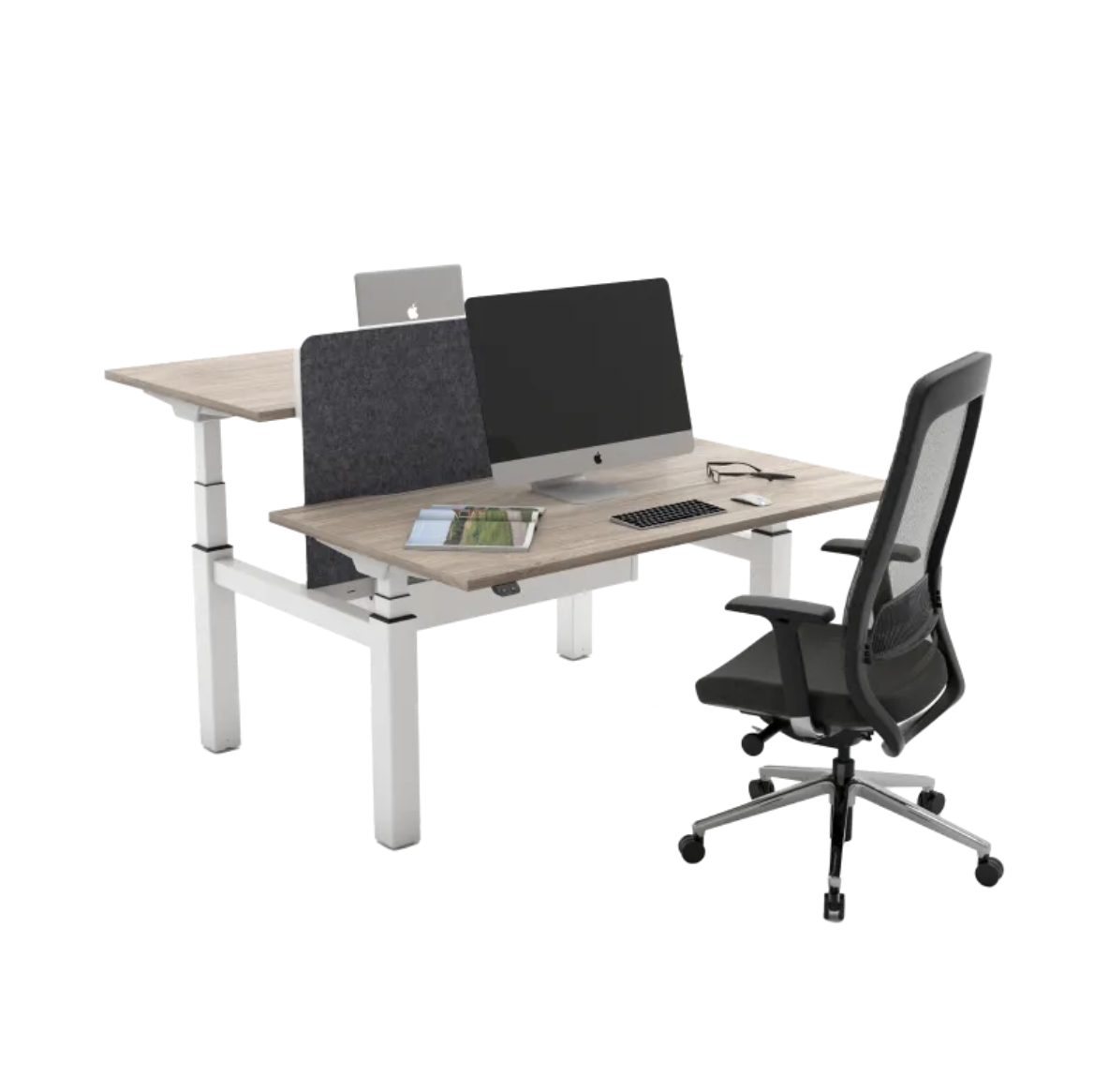 Sit Stand Desk (B) - 1600mm