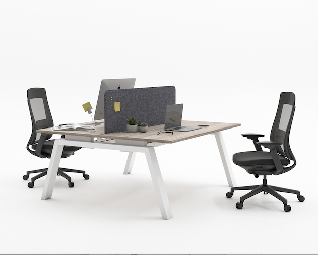 Desk E (1600mm x 800mm) - Double (2 Users)