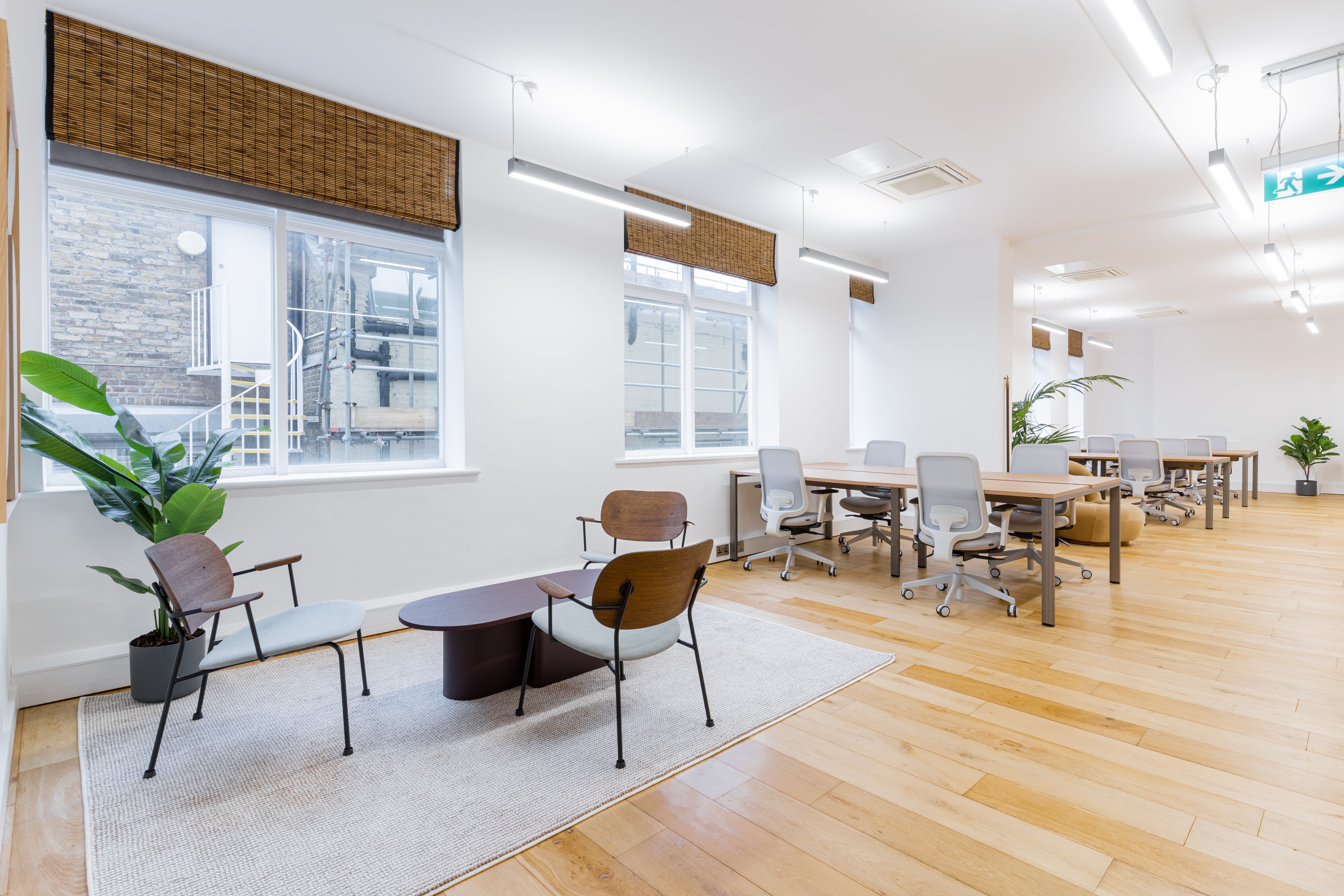office-12.jpg