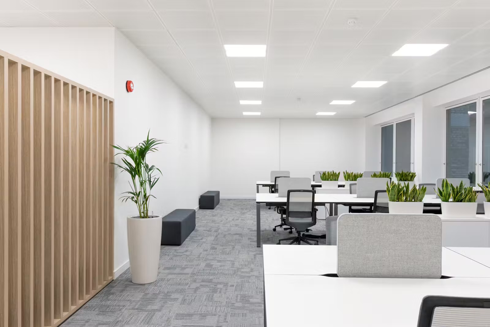 44b7767b841640dbd7d87b7ab27636fd-qag-gf-workspace.jpg