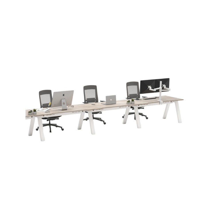 Desk E (1600mm x 800mm) - Singe (3 Users)